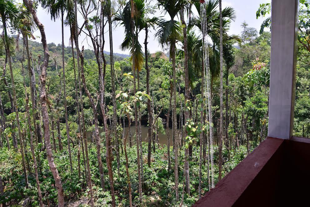 River Near Coorg Jambur Exteriér fotografie